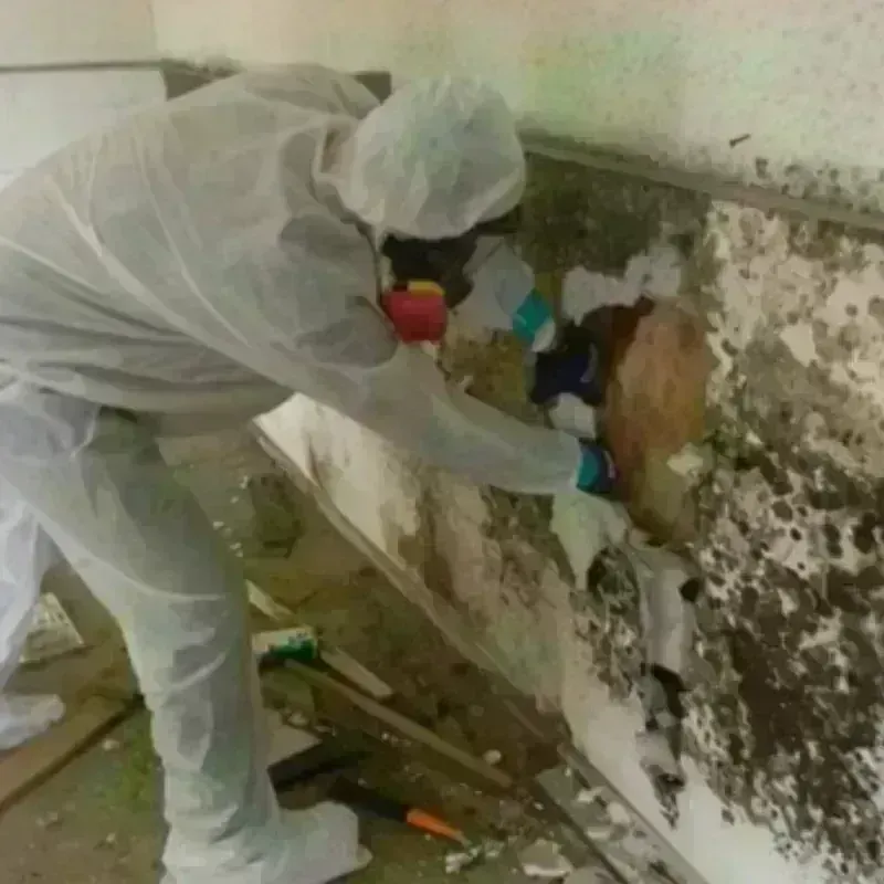 Mold Remediation and Removal in Lakewood Club, MI