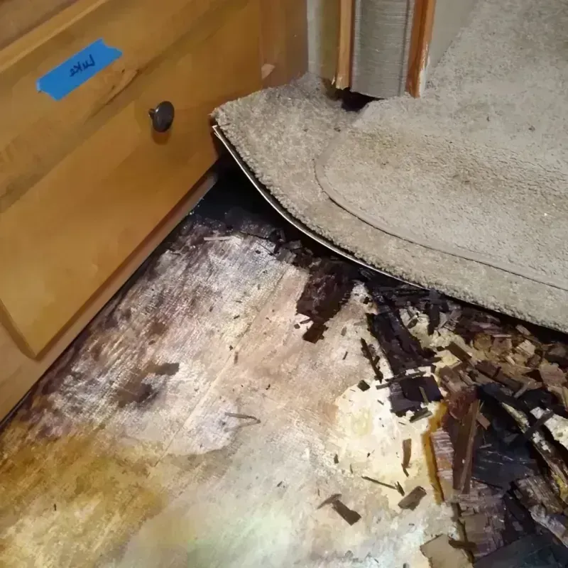 Best Wood Floor Water Damage Service in Lakewood Club, MI